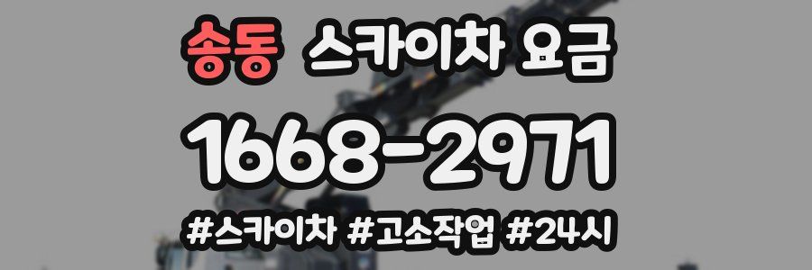 송동 스카이차 요금