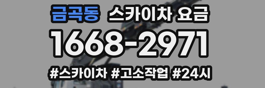 금곡동 스카이차 요금