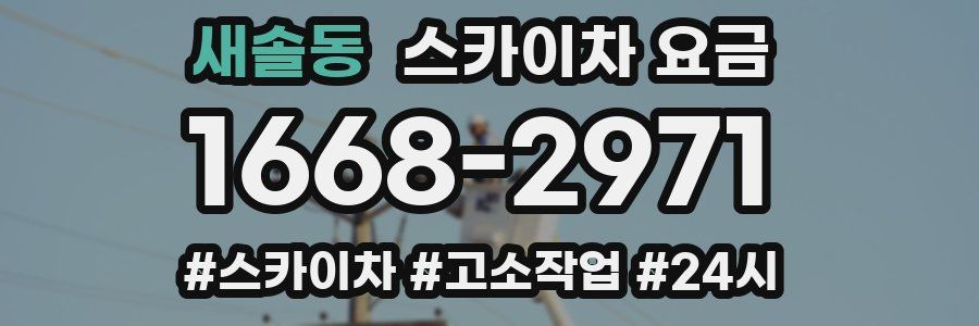새솔동 스카이차 요금