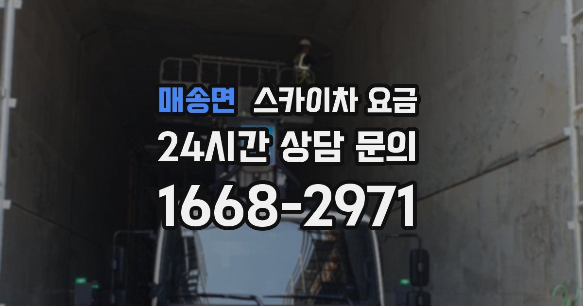 매송면 스카이차 요금