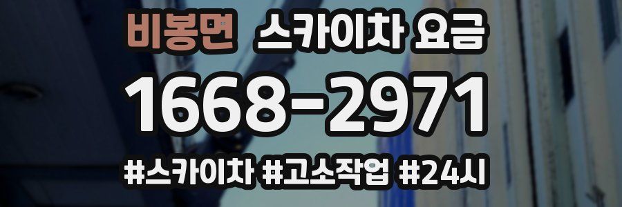 비봉면 스카이차 요금