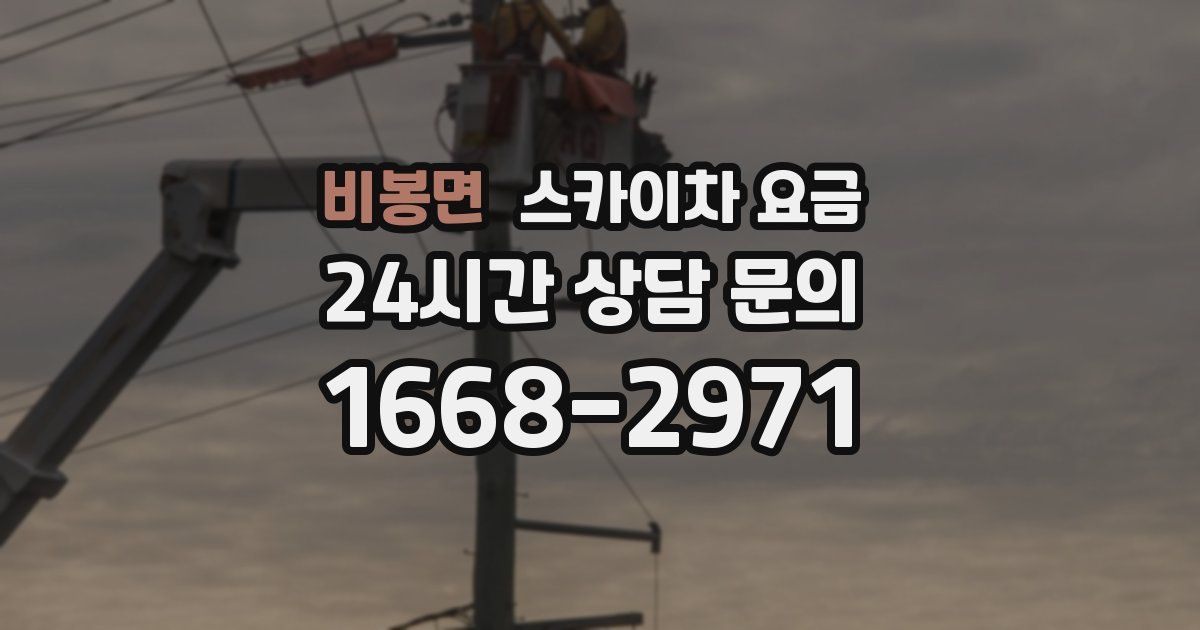 비봉면 스카이차 요금