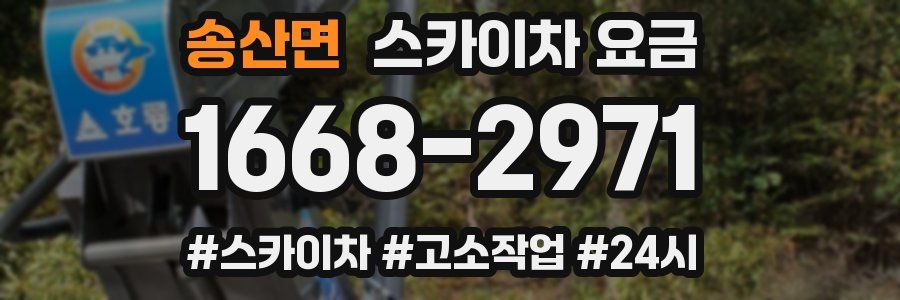 송산면 스카이차 요금