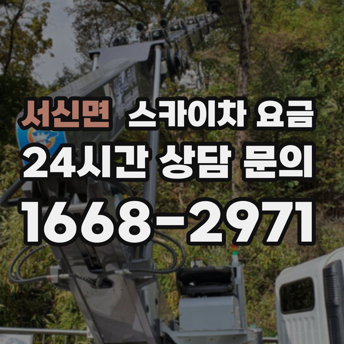 서신면 스카이차 요금