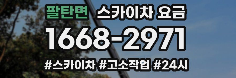 팔탄면 스카이차 요금