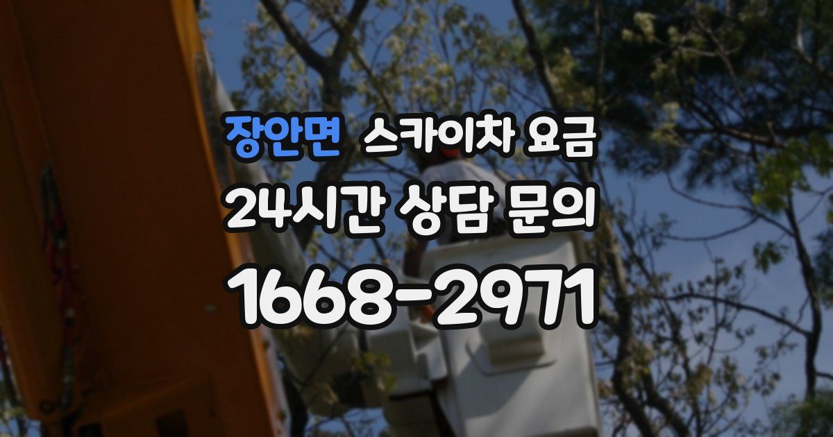 장안면 스카이차 요금