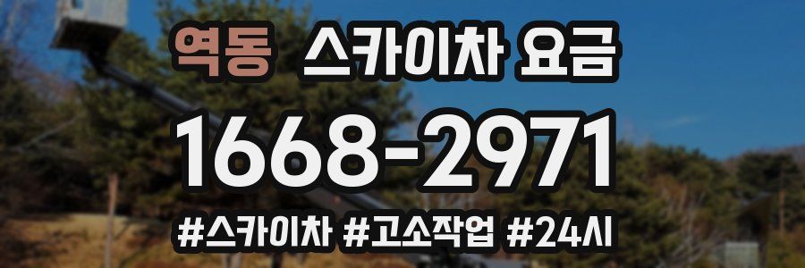 역동 스카이차 요금