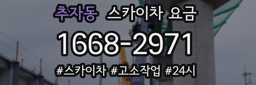 추자동 스카이차 요금