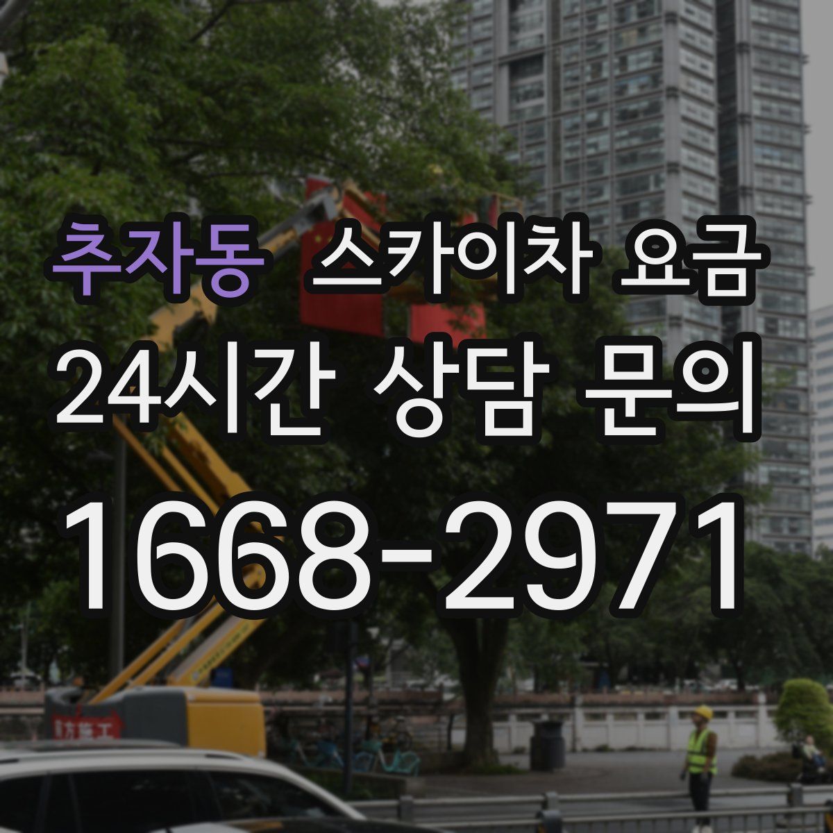 추자동 스카이차 요금