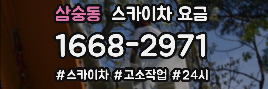 삼숭동 스카이차 요금