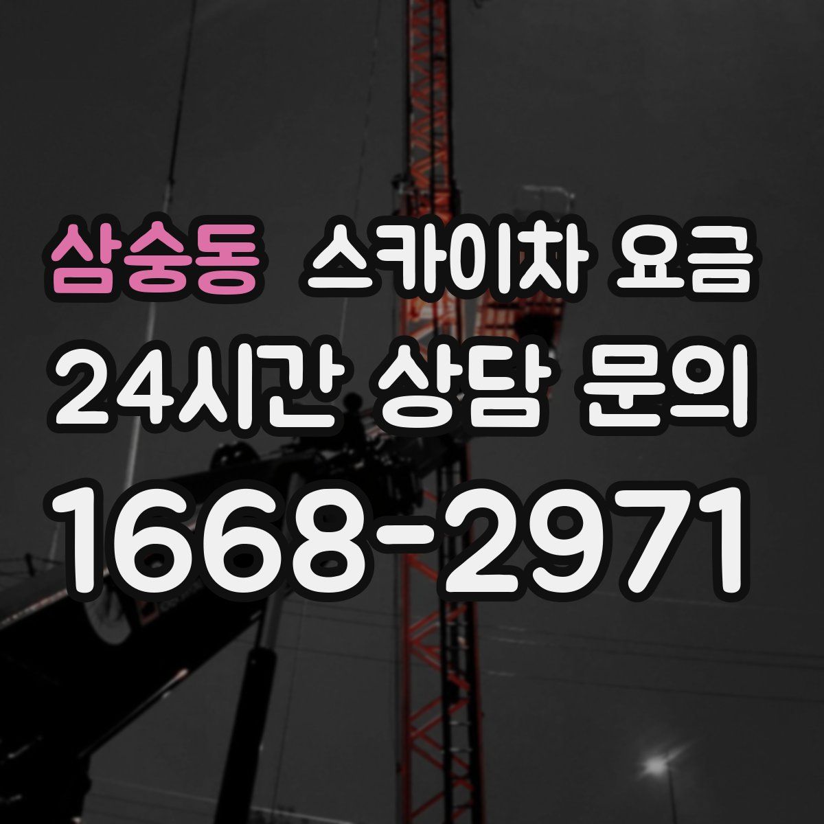 삼숭동 스카이차 요금