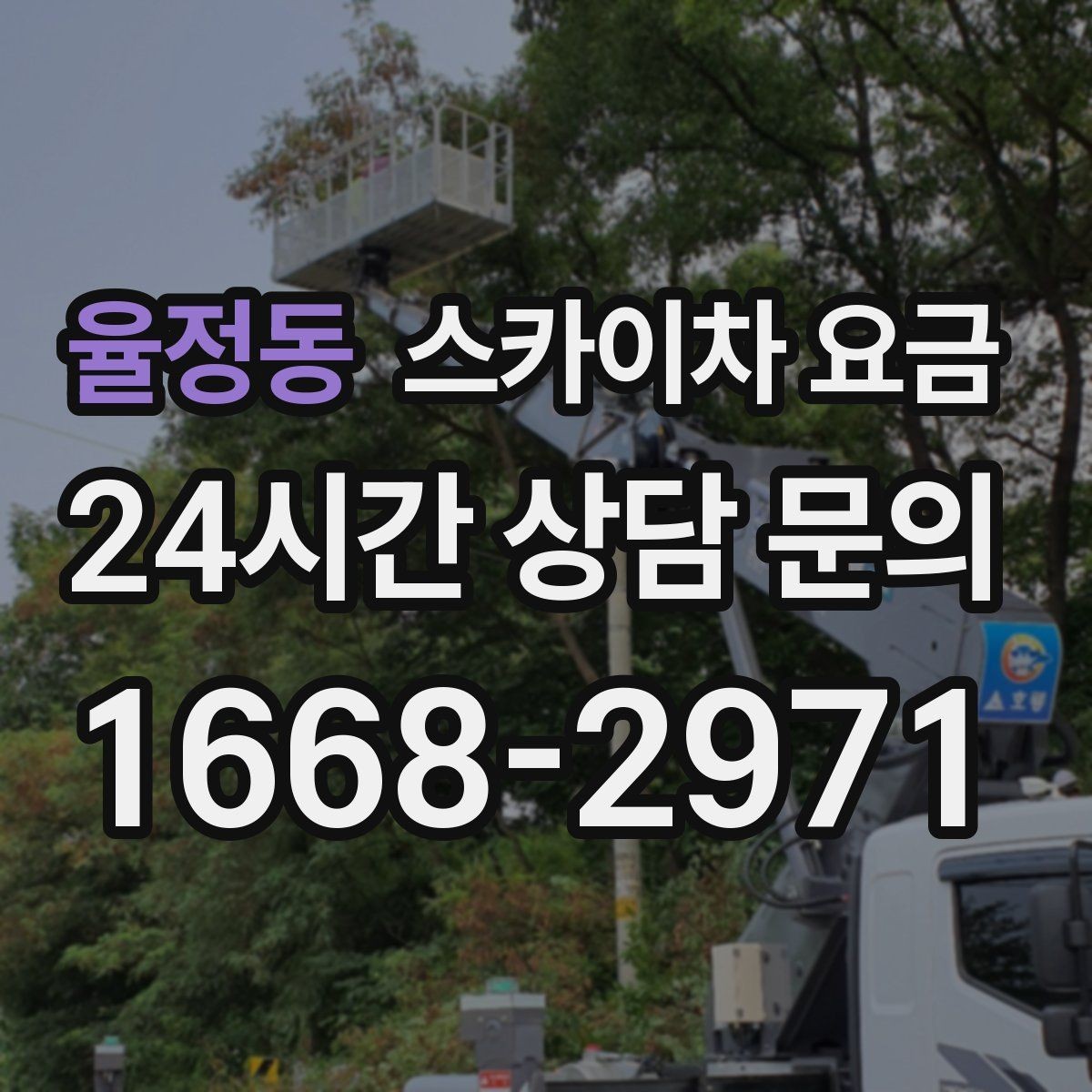 율정동 스카이차 요금 간판 전원 점검은 어디까지 포함될까