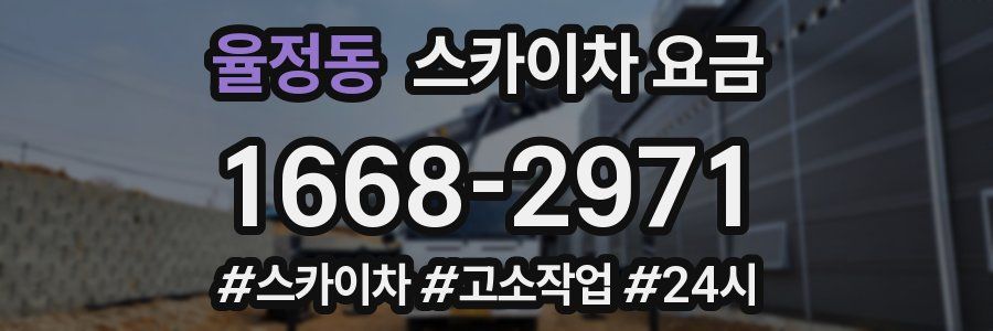 율정동 스카이차 요금