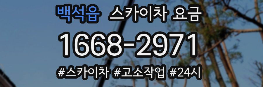 백석읍 스카이차 요금