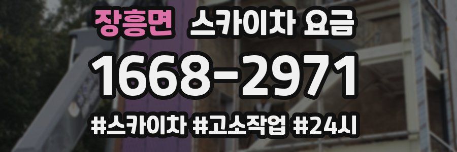 장흥면 스카이차 요금