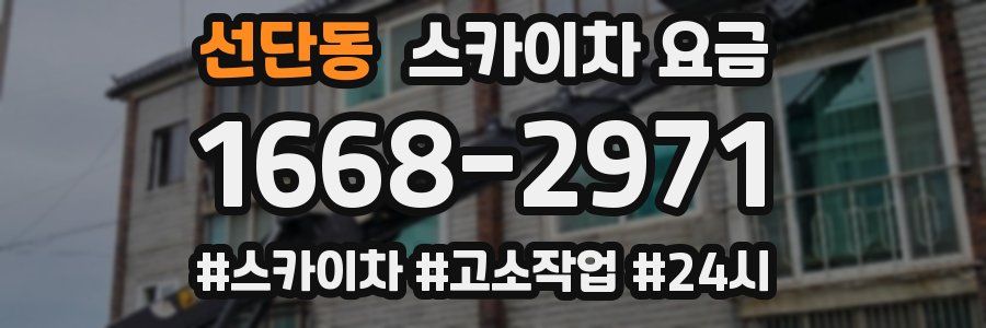 선단동 스카이차 요금