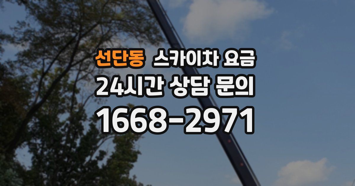 선단동 스카이차 요금