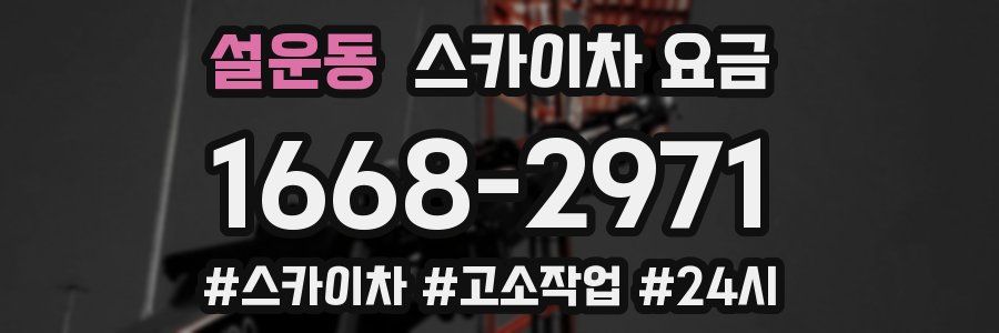 설운동 스카이차 요금