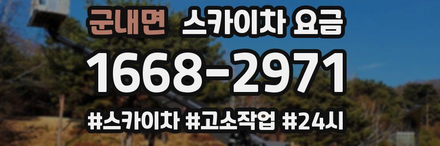 군내면 스카이차 요금