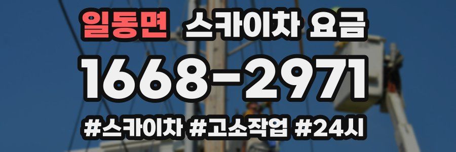 일동면 스카이차 요금