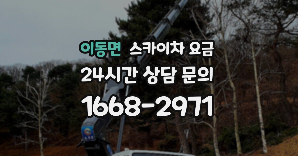 이동면 스카이차 요금