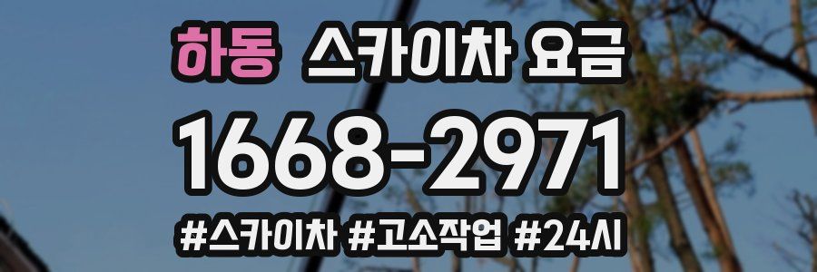 하동 스카이차 요금