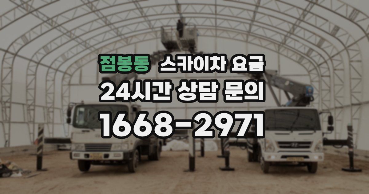 점봉동 스카이차 요금