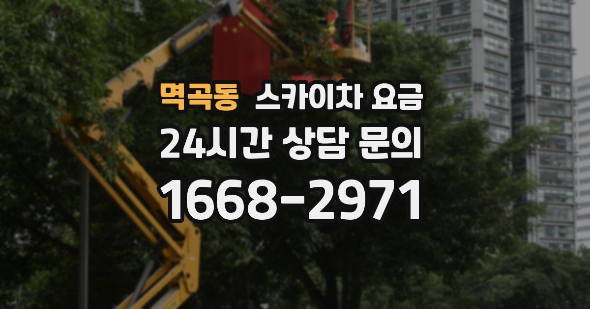 멱곡동 스카이차 요금