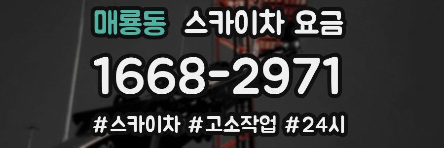 매룡동 스카이차 요금