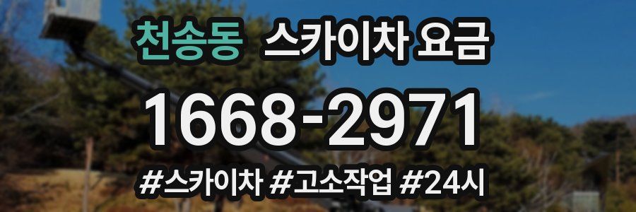 천송동 스카이차 요금