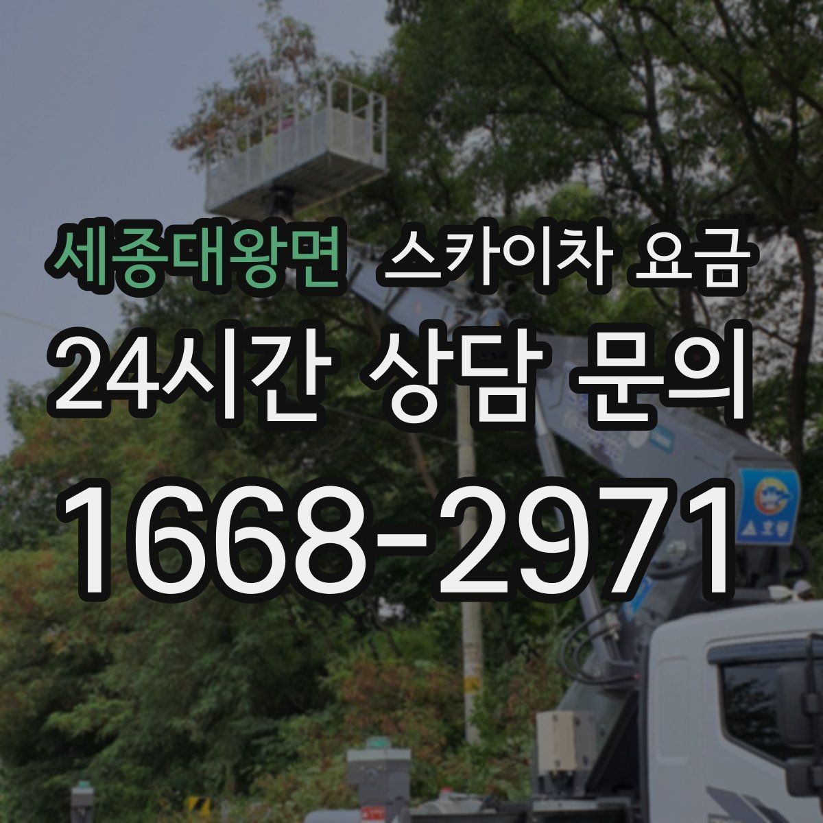 세종대왕면 스카이차 요금 간판+조명 교체를 같이 하면 유리할까