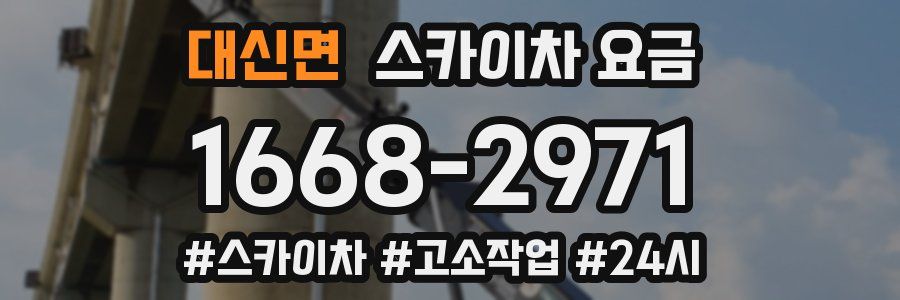 대신면 스카이차 요금