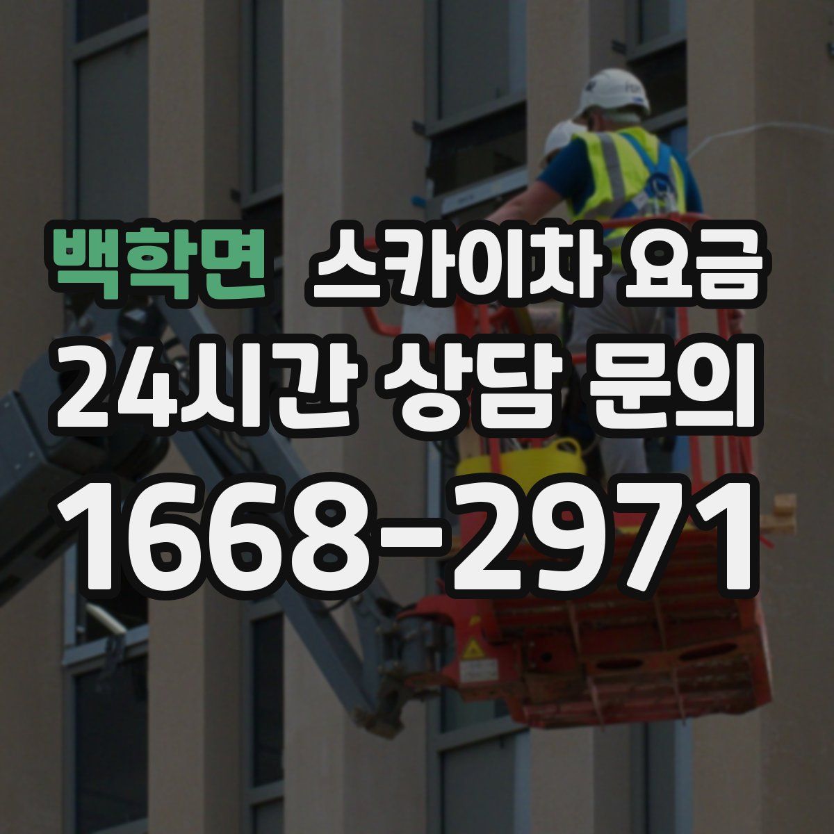 백학면 스카이차 요금