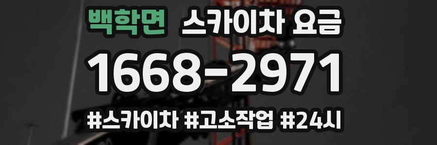 백학면 스카이차 요금