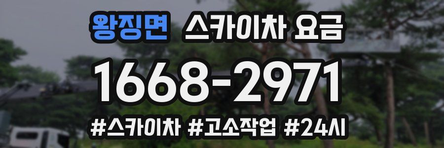 왕징면 스카이차 요금