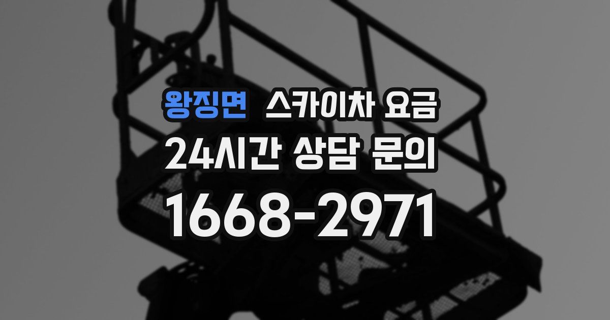 왕징면 스카이차 요금