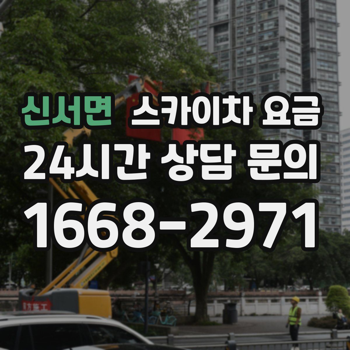 신서면 스카이차 요금