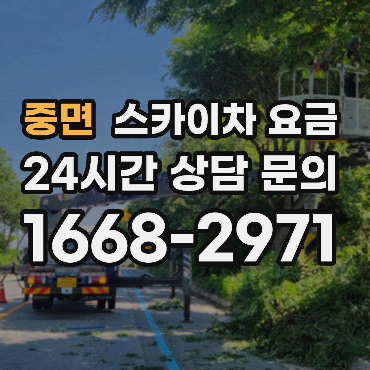 중면 스카이차 요금 하루에 끝낼 수 있는지 판단하는 기준
