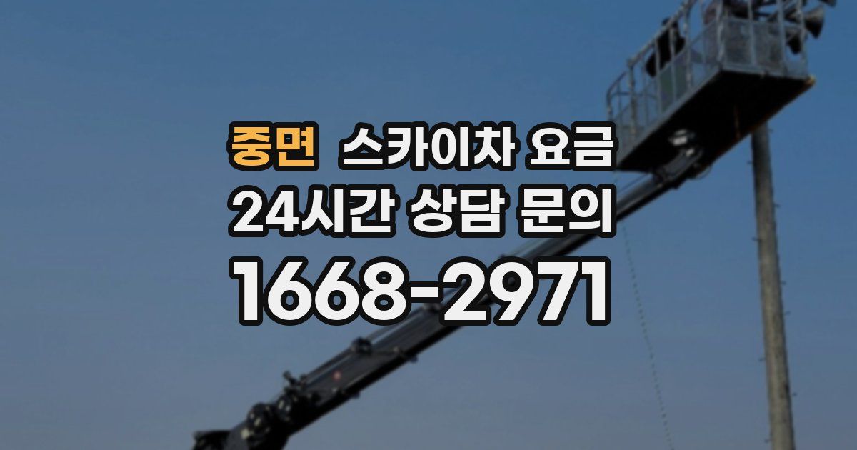 중면 스카이차 요금