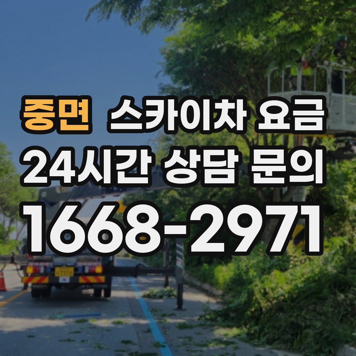 중면 스카이차 요금