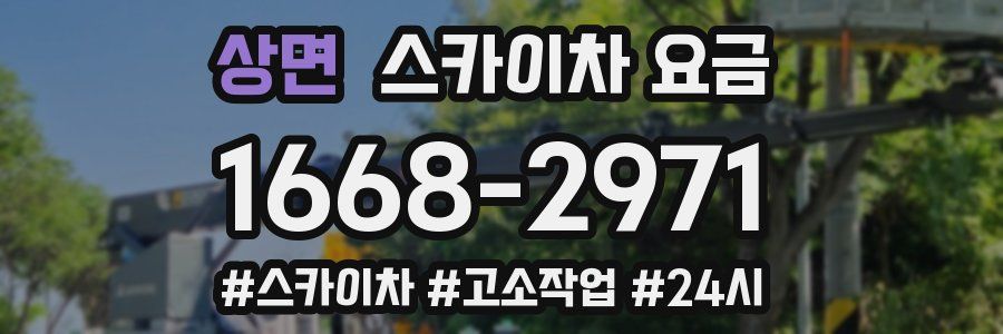 상면 스카이차 요금