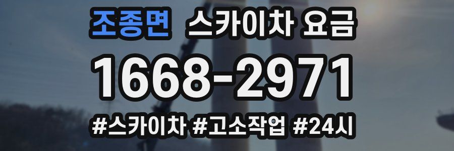 조종면 스카이차 요금