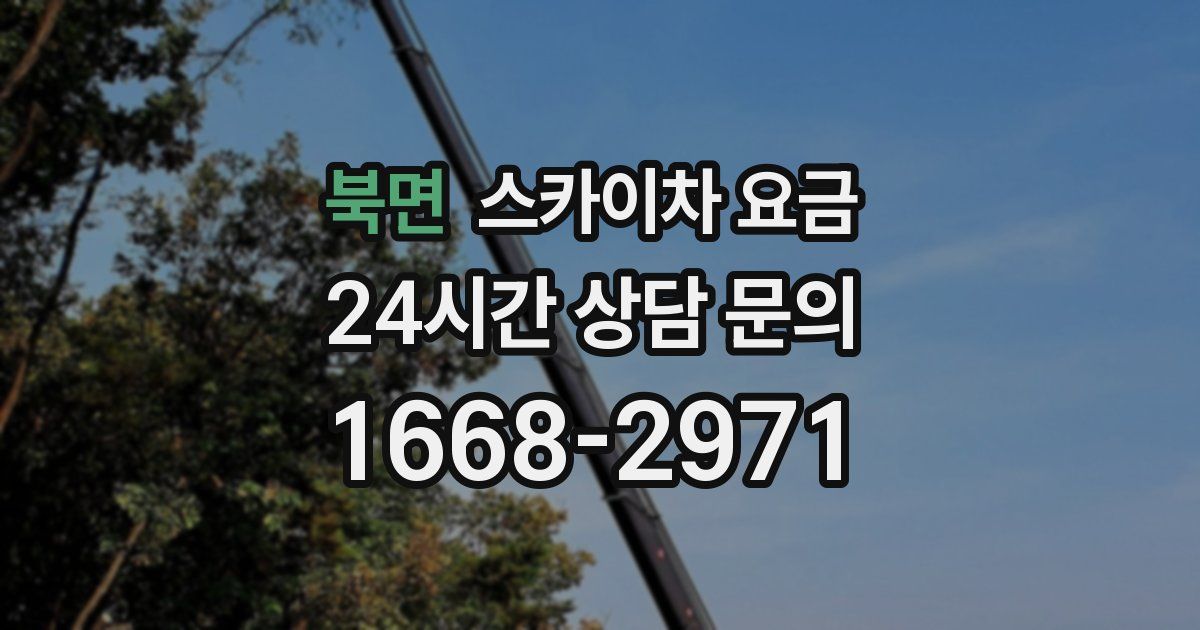 북면 스카이차 요금