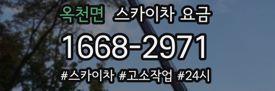 옥천면 스카이차 요금