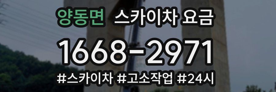 양동면 스카이차 요금