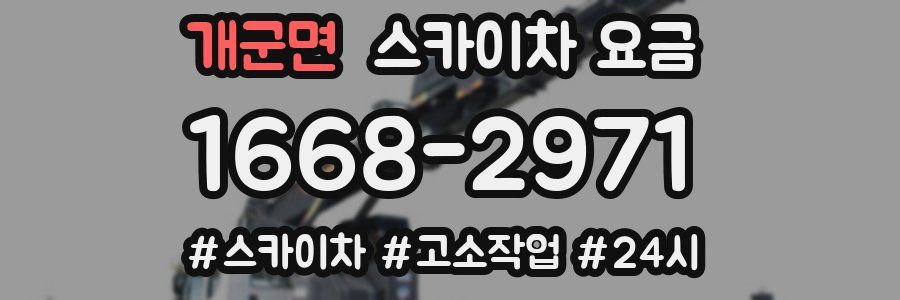 개군면 스카이차 요금