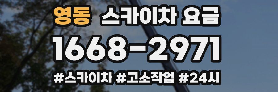 영동 스카이차 요금