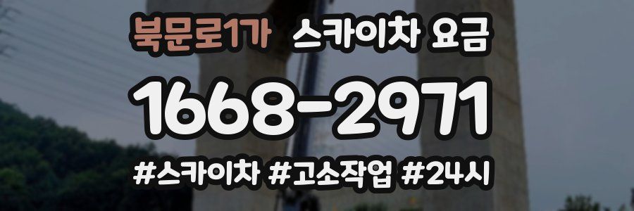 북문로1가 스카이차 요금