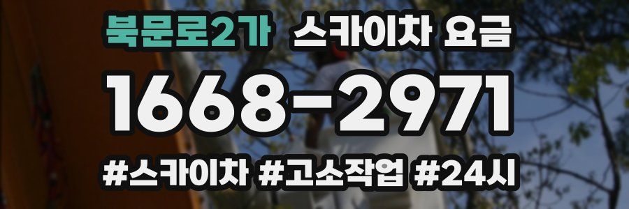 북문로2가 스카이차 요금