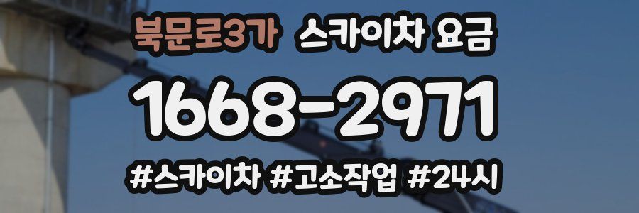 북문로3가 스카이차 요금